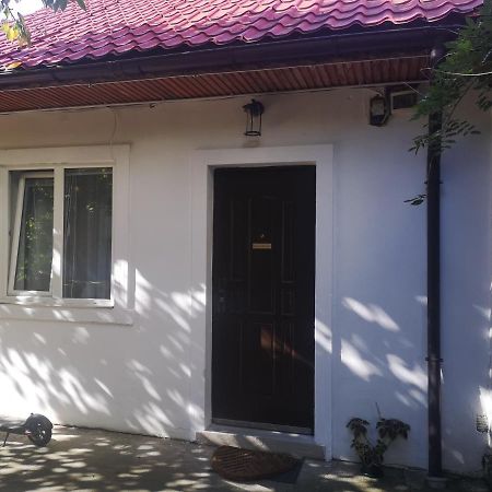 Casa Miron Unirii 3Strada Matei Corvin Apartament تيميشورا المظهر الخارجي الصورة